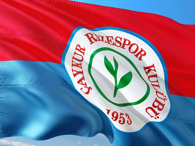 到属于自己 到属于自己