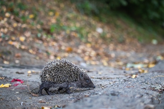 时而反超 时而反超