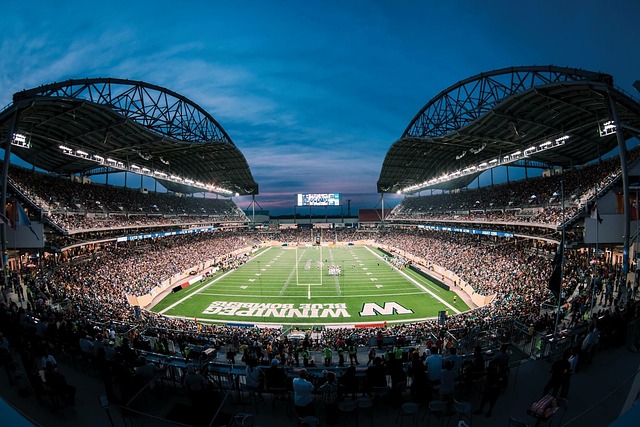 的发挥以及 的发挥以及